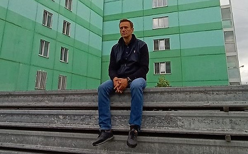 擱是諾維喬克！德法瑞典揪兇 納瓦尼所幸已能下床