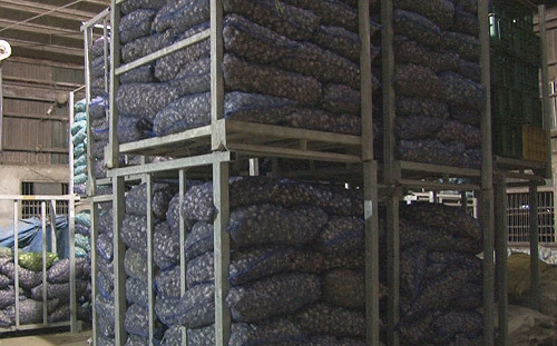 40公噸蒜頭遭訪查 農會理事長：是蒜種絕無囤積