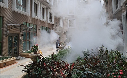 三峽五寮里菜園本土登革熱再增2例   一家有4人確診