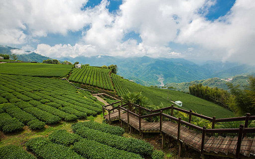 來「嘉」健行！12條步道一覽瀑布雲海鐵道壯麗風光