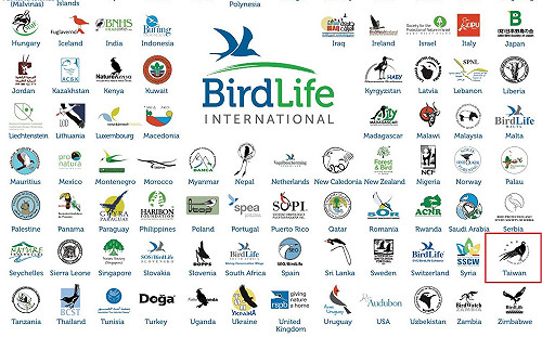 超鳥的！國際鳥盟聽中國的除名我鳥會 英主管單位調查