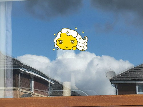 女子隨手拍照「偉大貓神」竟意外現身　主子：奴才還不跪下！