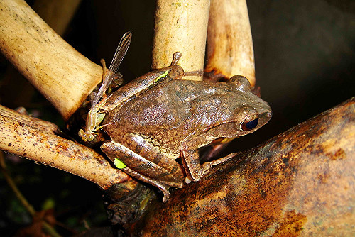 新北3梯次近郊生態小旅行 10/18首梯即將報名