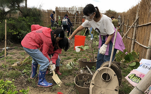 共同守護海岸線 新北公私合作種下樹苗