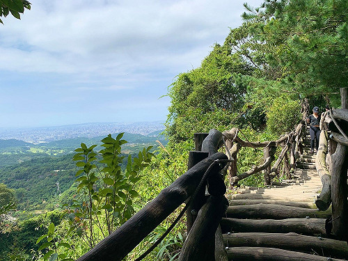 大坑9號步道全新登場！步道安全及生態友善廊道大提升