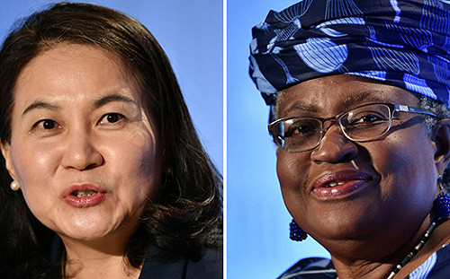 不能讓對手出頭! 日本決定不挺韓國候選人出任WTO總幹事