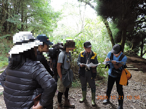 9至10月開出22張罰單！擅闖一葉蘭自然保留區最高可罰15萬