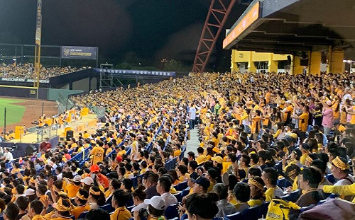 中職／連續2場滿座　中信兄弟第6戰門票又賣光