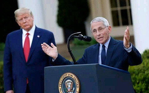美國疫苗有望年底問世 佛奇:和川普無進一步對話