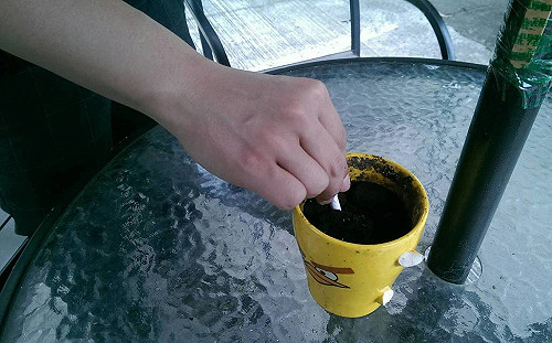 4成青少年吸菸者使用加味菸！國健署擬修法禁賣