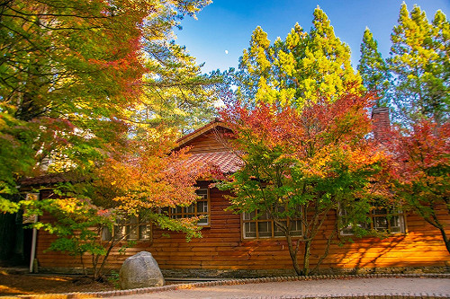一日遊定型化契約今上路！交通部：行程價格需明確記載