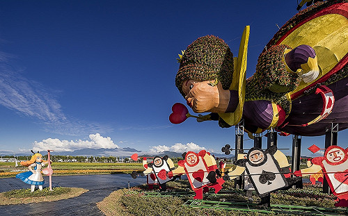 愛麗絲的花境探險 臺中國際花毯節打造花卉裝置大迷宮