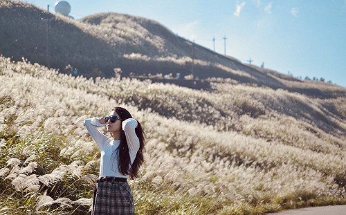 (影)淡蘭古道主題網上線!4條「絕美芒花古道」遊程輕鬆掌握