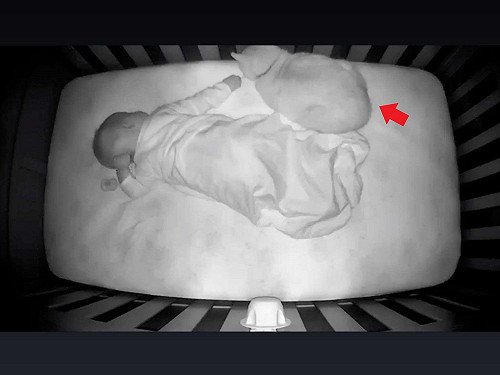 傲嬌橘貓「不愛新生兒」 媽看監視器笑:原來都騙人!