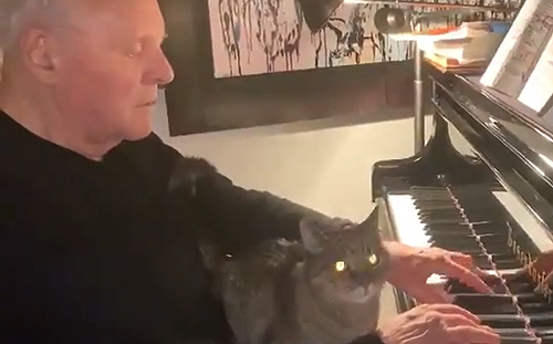 (影)安東尼霍普金斯樂當「貓奴」　擁牠入懷彈琴給愛貓聽