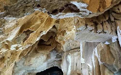 墾丁社頂鐘乳石遭盜鋸 保七警墾管處追查