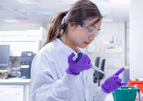 武漢肺炎》牛津疫苗傳捷報！指揮中心：8、9月已洽藥廠