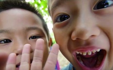 從昆蟲的眼睛看世界！生態影片《微觀墾丁》三部曲明年首映