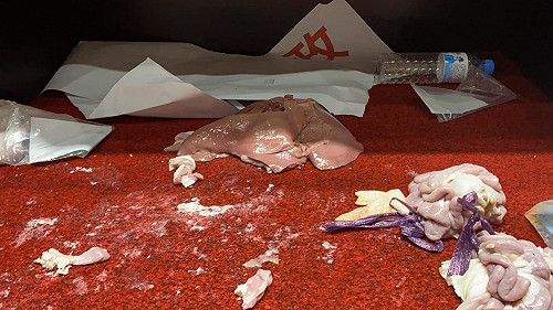 國會殿堂上丟擲豬內臟 民進黨批「國民黨問政荒誕的一天」