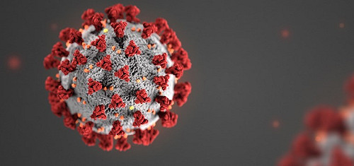 武漢肺炎》新冠病毒殘留生殖器!研究:男性染疫恐導致陽痿