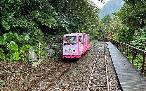 探訪森林瀑布！烏來小台車重新塗裝開放