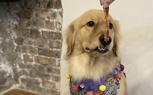 毛寶貝幸福耶誕趴12/19板橋府中登場   萬元好禮大放送 