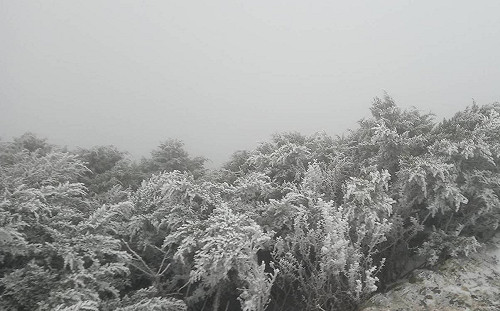 玉山初雪要來了？！氣象局：今晚機會大