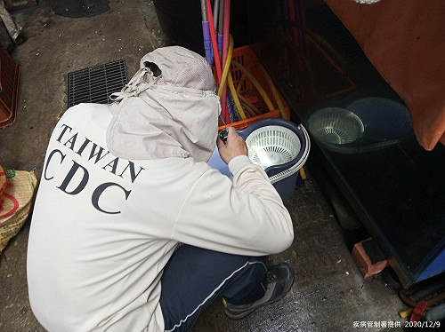 快訊》溼冷天氣登革熱一樣來！新北再添1例本土病例