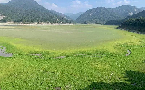 全台最大曾文水庫見底！照片曝光網驚：像高爾夫球場