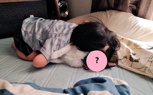 小孩狂抱三花貓　牠流露空洞眼神：奴才不救？