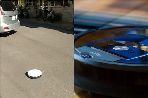 誰家門沒關！他出門驚見野生翹家王