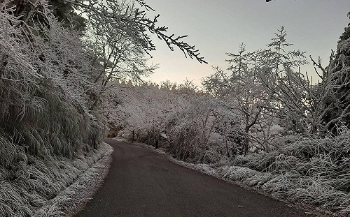 (影)太平山下雪30分鐘！濃縮美景線上看