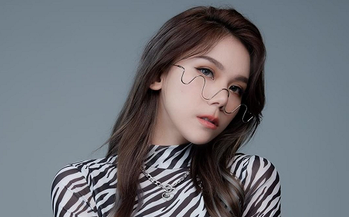 蕾菈告別2020！粉絲心疼：你看起來不太好過