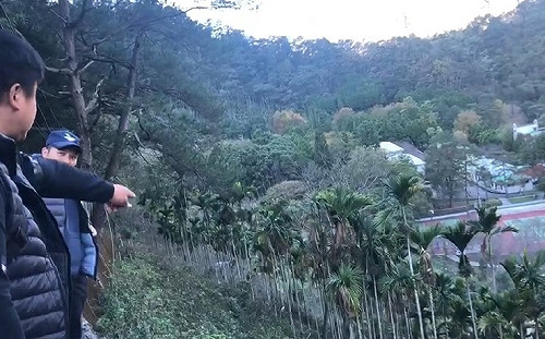 (影)谷關疑有小黑熊受傷 警方全力搜尋中