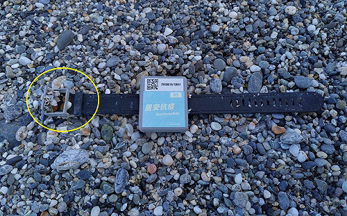 夭壽！港檢疫手環沒回收百里傳毒 漂上花蓮七星潭