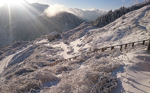 來去合歡山追雪！  6大注意事項一次看