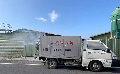 (影)鰲鼓濕地尖尾鴨檢出禽流感  嘉義縣府禽場防疫大作戰