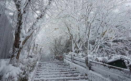 追雪族注意！道路結冰危險 宜蘭太平山午後禁止入園