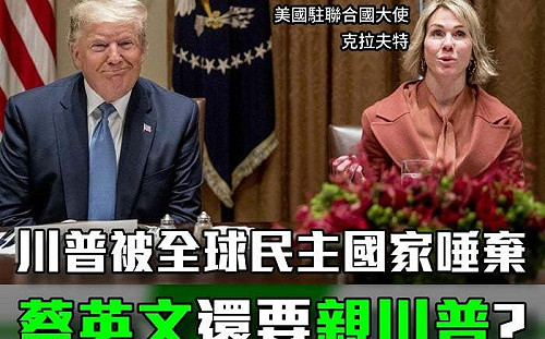 蔡英文親川普非親美? 蔡正元 : 呂謦煒講的很對