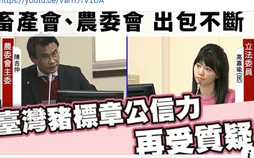 萊豬引爆內鬨?  高嘉瑜怒批:豬標章應貼在「陳吉仲頭上」