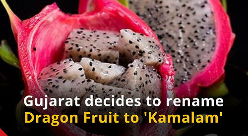 遷怒火龍果 ! 名字太像中國 印度硬改名為「蓮花」