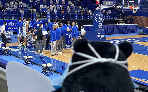 台灣黑熊又亮相了!克拉夫特趴趴走 再秀Taiwan