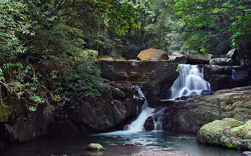 找到你的命定行程！林務局推出4類型星座旅行滿足不同人