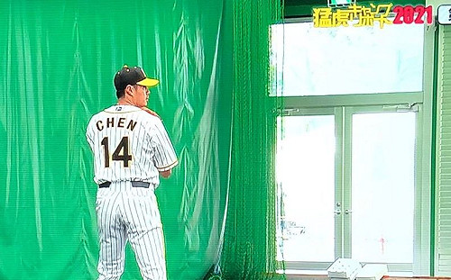 阪神帥氣大賞 陳偉殷投球太殺入圍