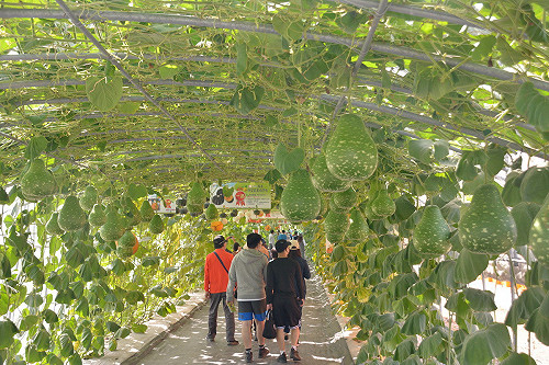 結合科技藝術 屏東熱帶農業博覽會熱情迎新春