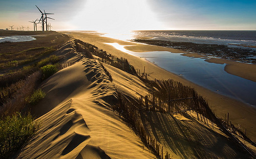 桃園首座地質公園  草漯沙丘美若撒哈拉沙漠