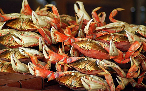 清蒸螃蟹SOP曝光！一招去腥更鮮美