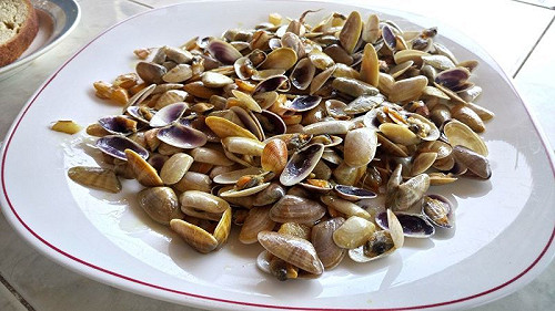 蛤蜊怎炒才讚?牢記「1招」就無敵