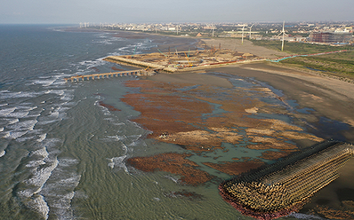 告急！搶救藻礁公投連署 倒數10天要拼27萬份