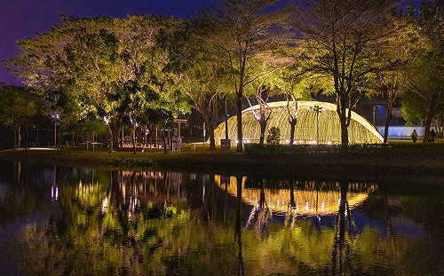 228連假必訪！台南4花海5燈會9大熱門景點一次看